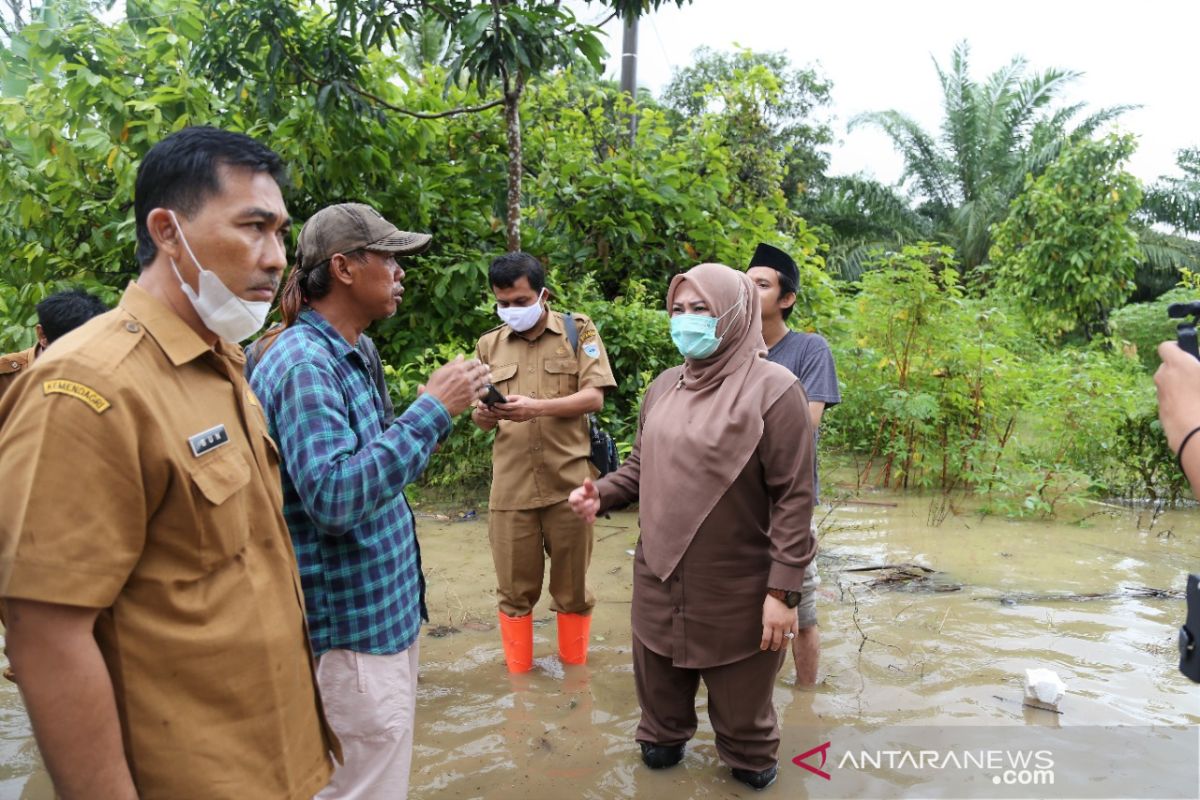 Terkait Banjir, Bupati Irna segera kordinasi dengan BBWSC3