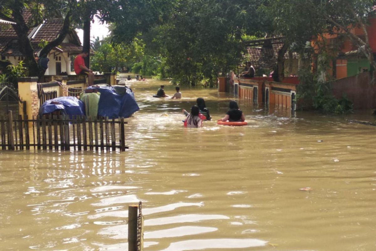 8.573  hektare tanaman padi di Banten terendam banjir