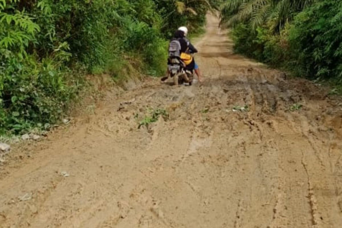 Jalan utama kampung Batang Ara berkubang Aceh Tamiang