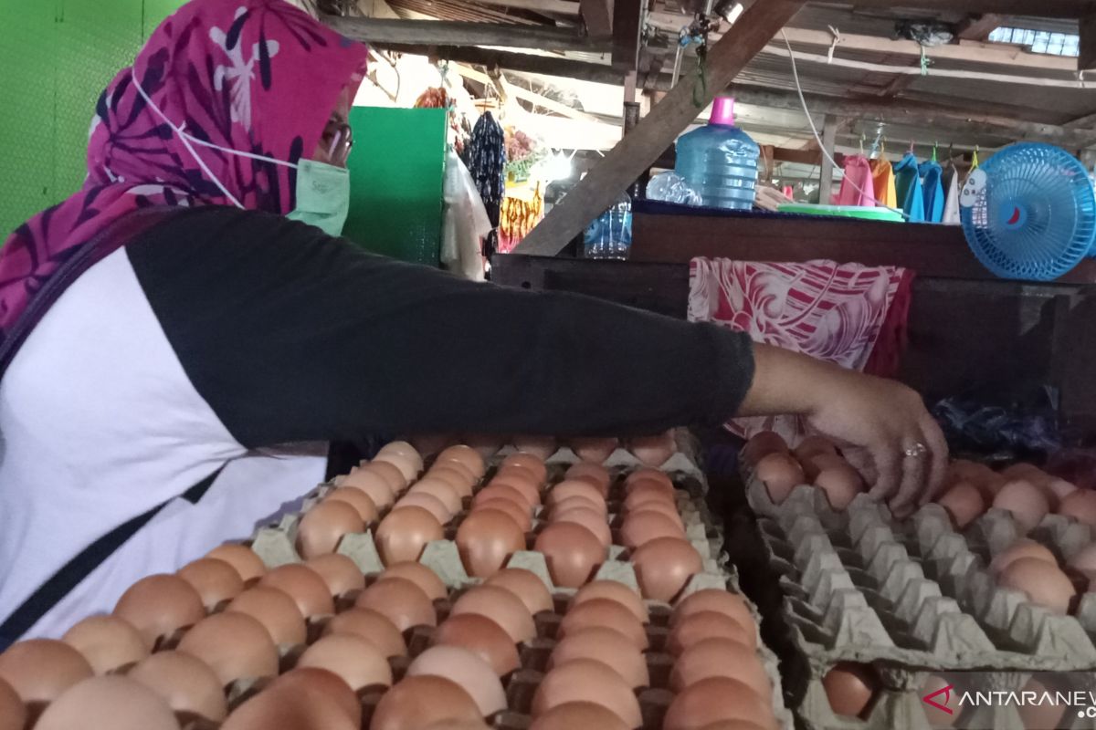 Harga telur ayam ras di kota Sorong mulai naik