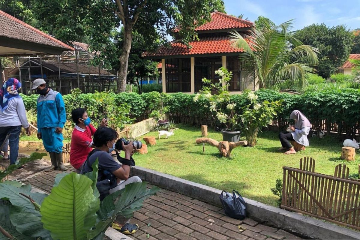 Taman Kelinci Betawi di tengah pandemi