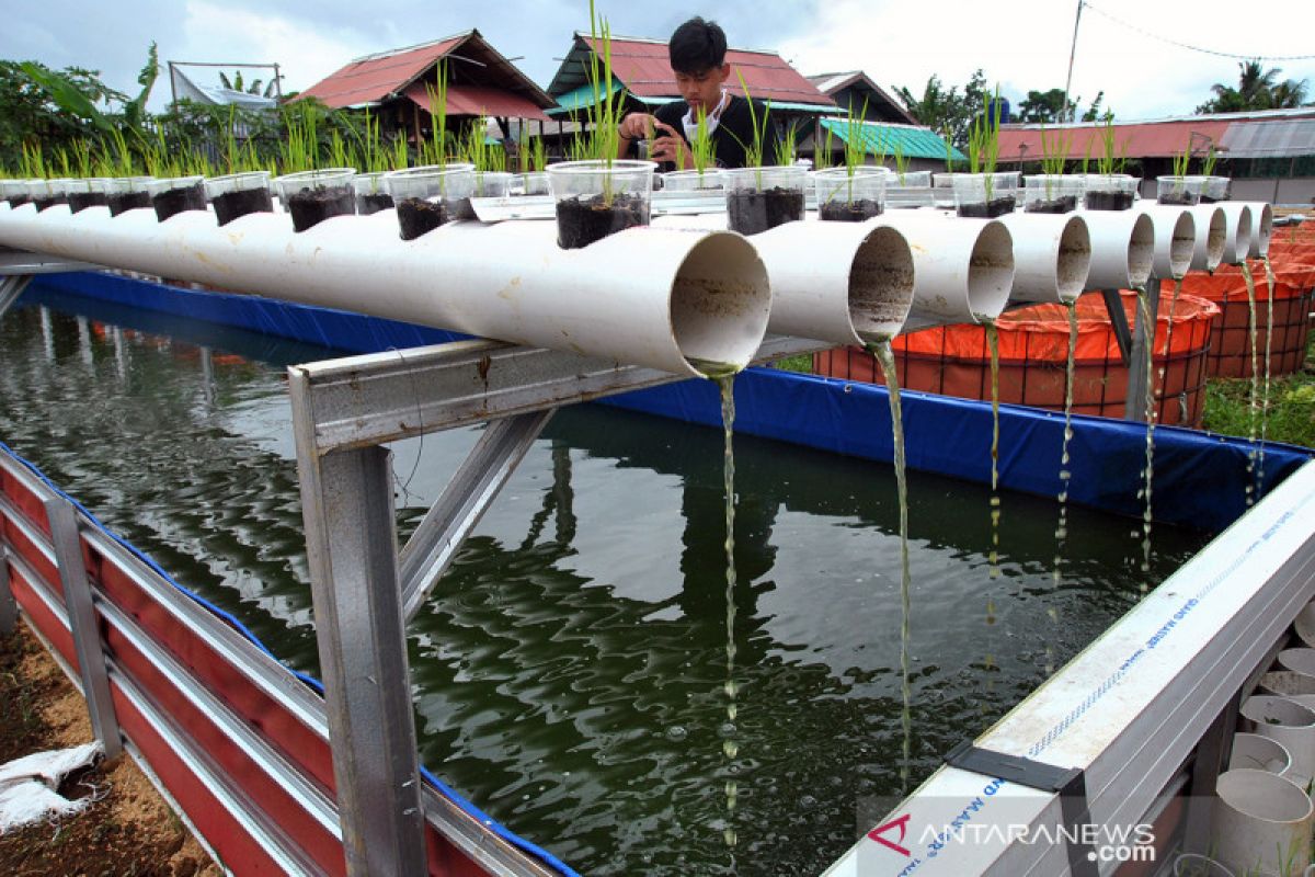 Kampung tematik perikanan budidaya jadi solusi ketahan pangan