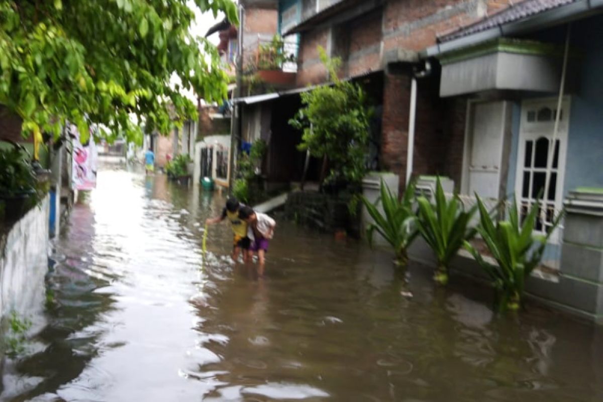 Curah hujan tinggi, 64 rumah warga di Kudus terdampak banjir