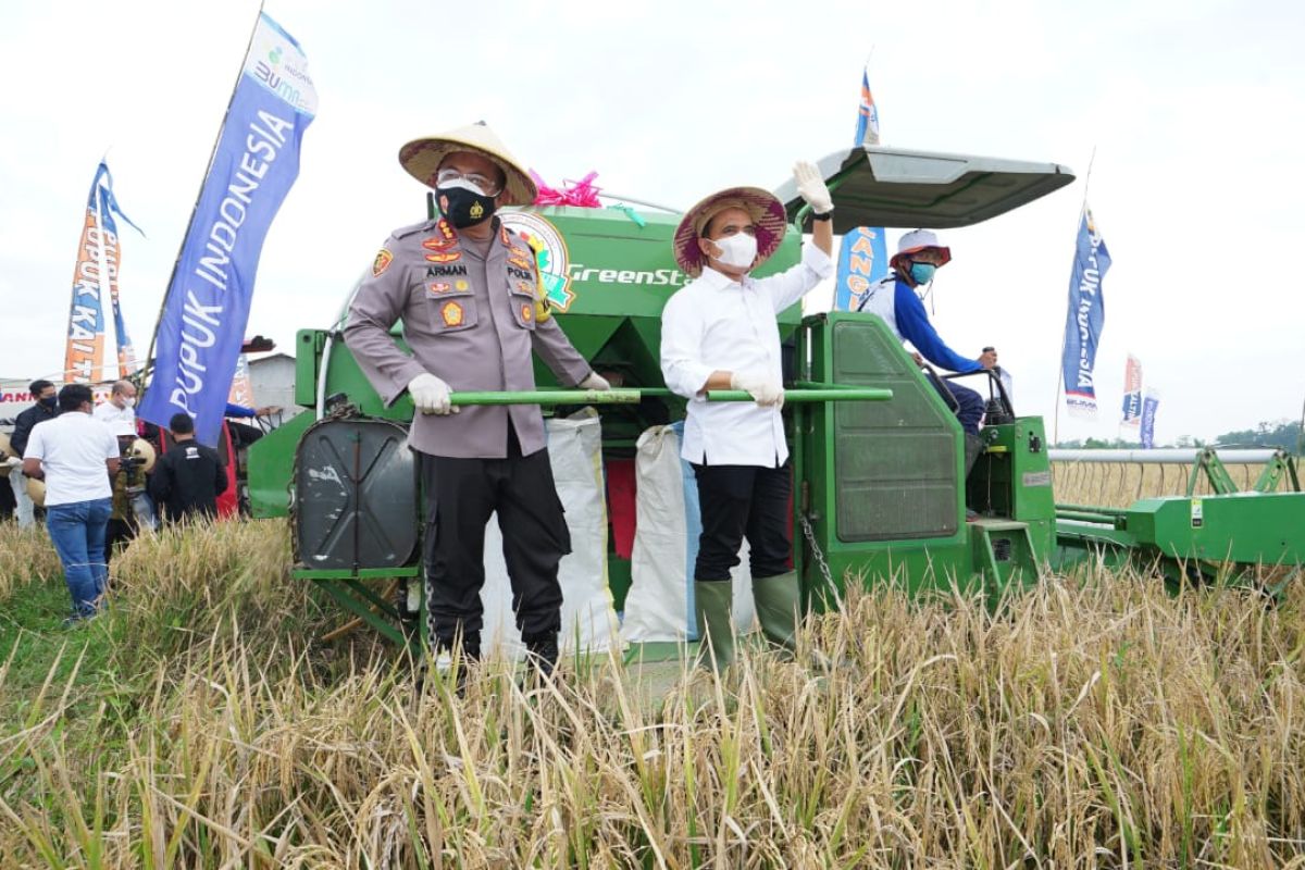Program Agro Solution jadi dongkrak produktivitas padi di Banyuwangi