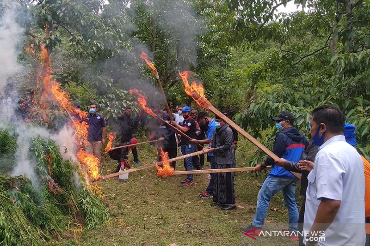 Aceh Besar prioritas program pencegahan penanaman ganja