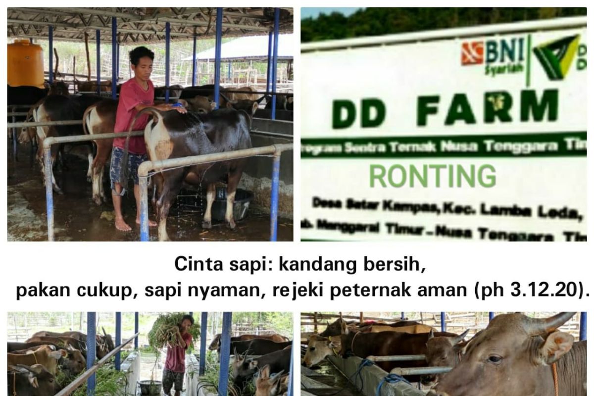 DD Farm: Program Pemberdayaan Kaum Miskin