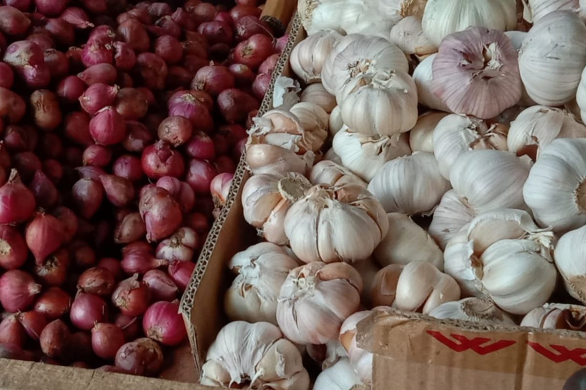 Harga bawang di pasar tradisional Ambon turun