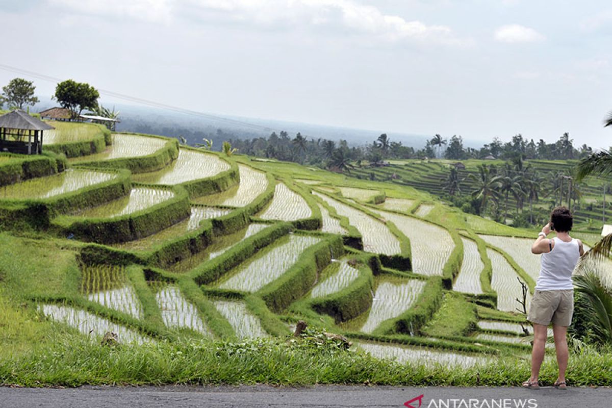 Bali World Water Forum to create investment opportunities: ministry