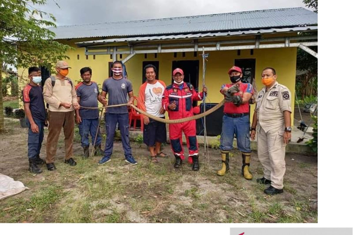 Petugas Damkar Belitung evakuasi King Kobra dari bawah kasur