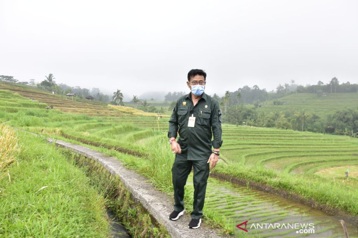 Kunjungi Agrowisata Jatiluwih, Mentan dorong budidaya mina padi