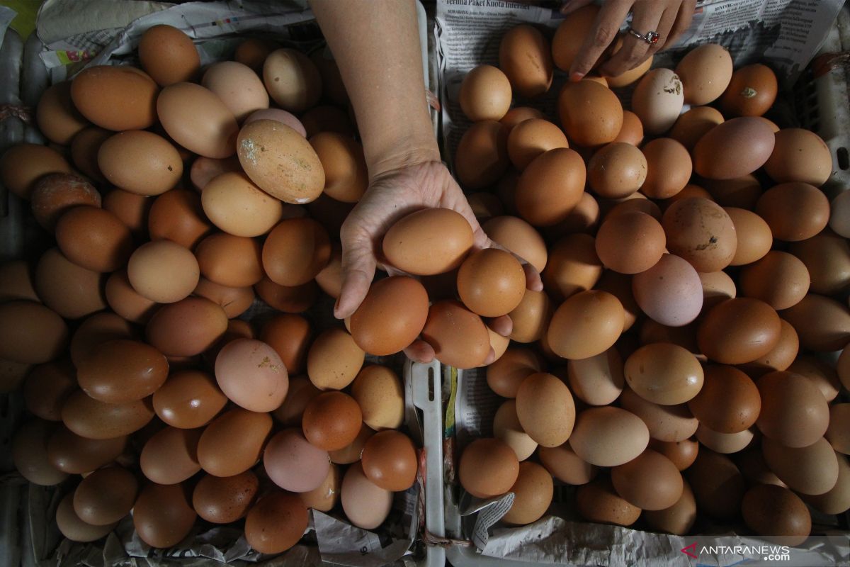 Inflasi November capai 0,09 persen disumbang kenaikan harga telur ayam ras