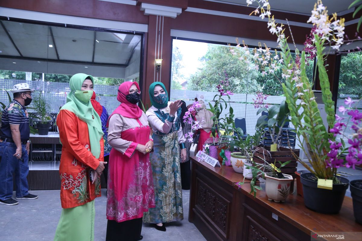 Tanah Laut presents the 12th Borneo Orchid Show