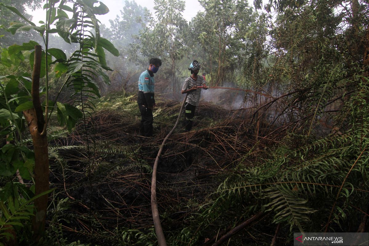 Titik api di wilayah Kalimantan Barat berkurang setelah hujan turun