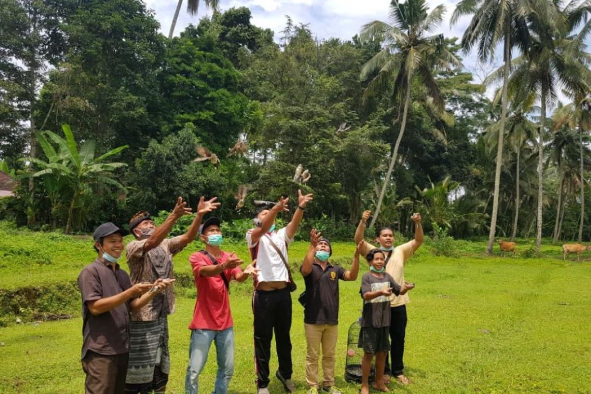 100 ekor burung dilepasliarkan oleh BUMDes Mandala Sari dan AQUA Mambal di Bali