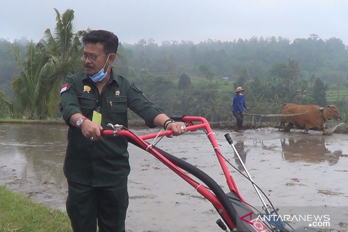 Mentan: Perkuat pertanian melalui pelestarian budaya (video)