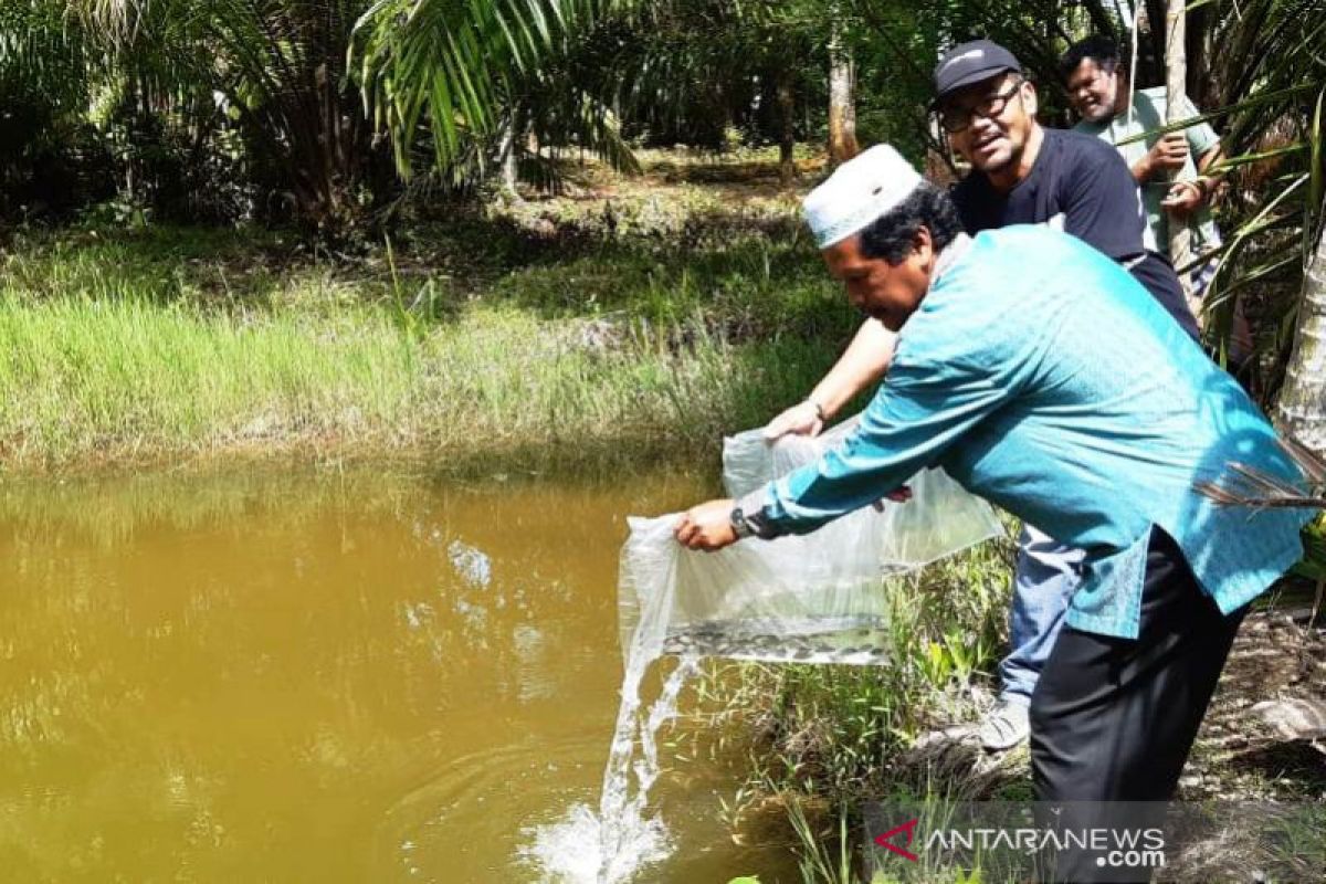 Ratusan warga Nagan Raya terima bantuan benih ikan dari pemerintah daerah