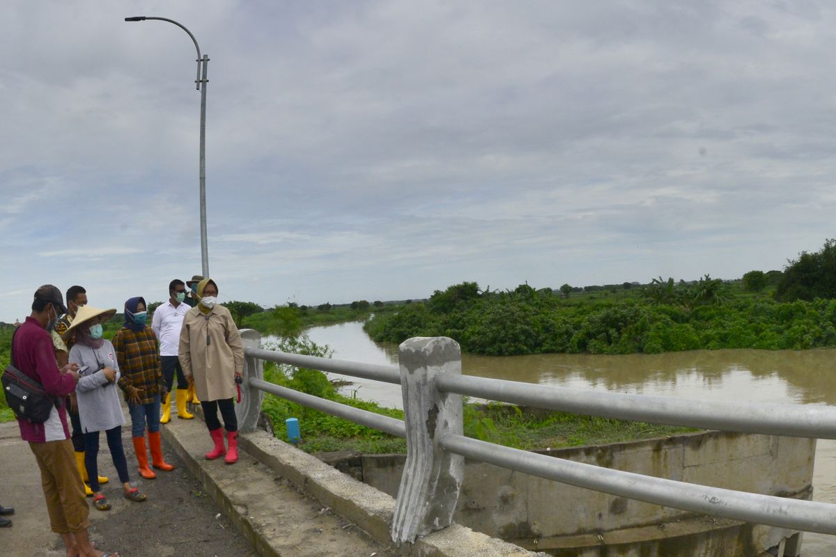 Risma pastikan tanggul Kali Lamong di wilayah Surabaya kuat tampung air