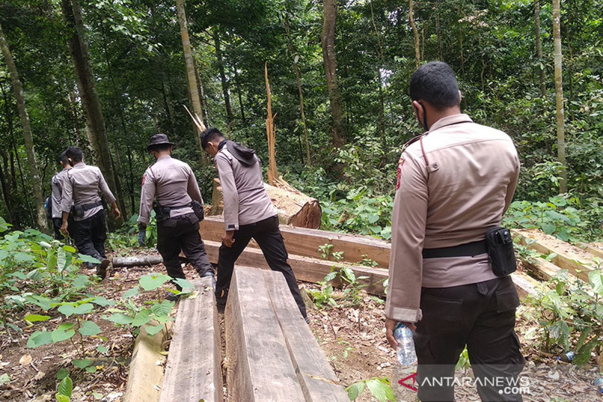 Komisi II DPRA desak reboisasi kerusakan hutan