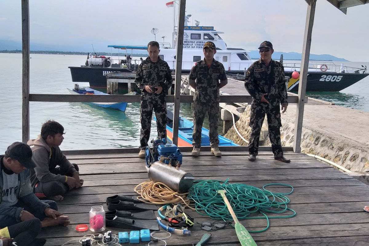 KKP ringkus penangkap ikan pakai racun di Morowali Sulteng