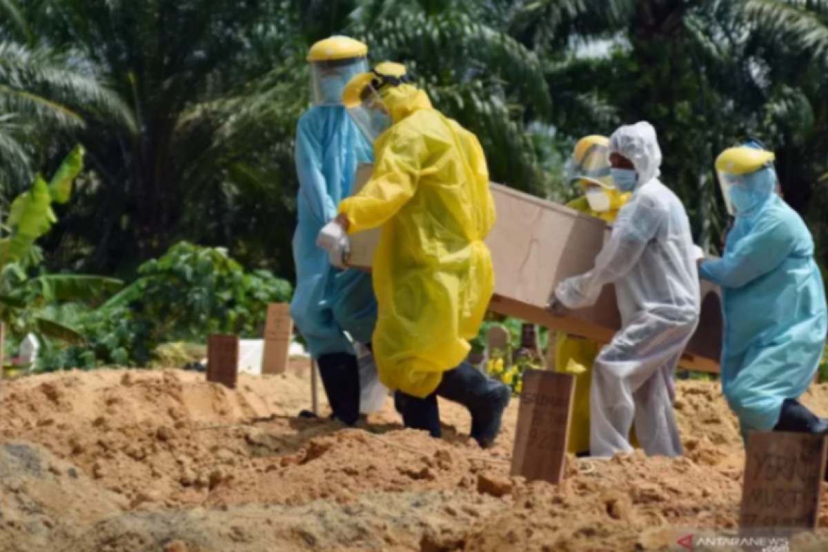 Total 120 orang pasien COVID-19 meninggal di Sulawesi Tenggara