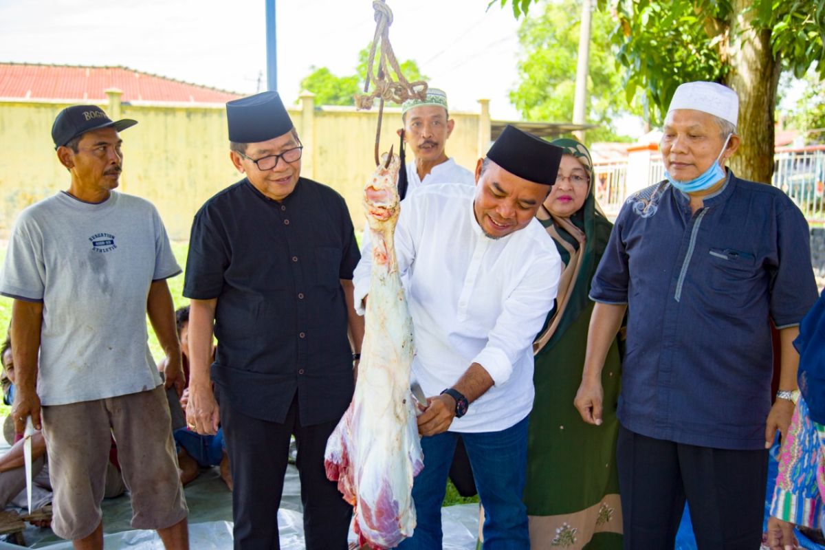 Bupati Labuhanbatu sembelih 49 hewan Qurban