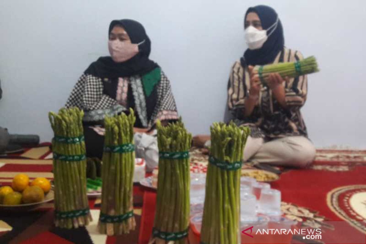 Anggota DPD Jateng dorong  pengembangan asparagus di Temanggung