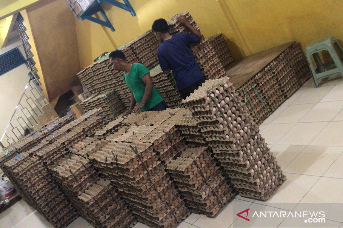 Harga telur ayam ras Pekanbaru melambung, Rp2.000 per butir