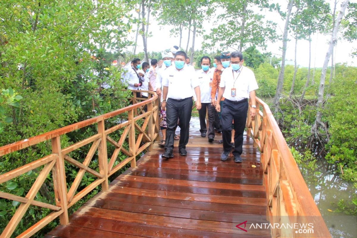 Ekowisata hutan mangrove Jembrana dibuka