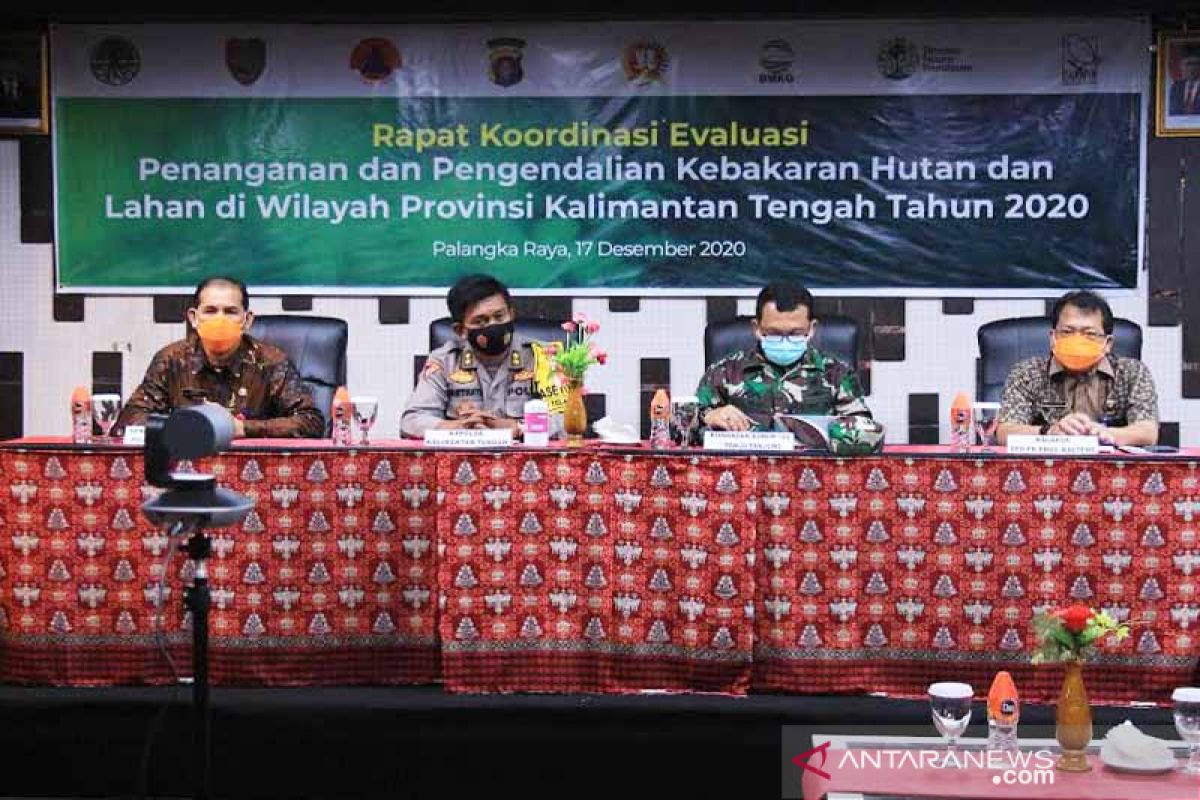 Pemda di Kalteng diminta bentuk Satgas Karhutla di kelurahan rawan