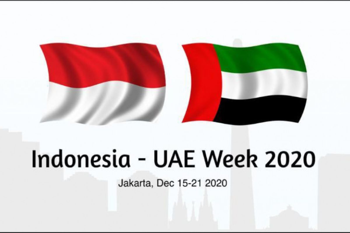 Minat perusahaan UAE ekspansi ke Indonesia tetap tinggi meski pandemi