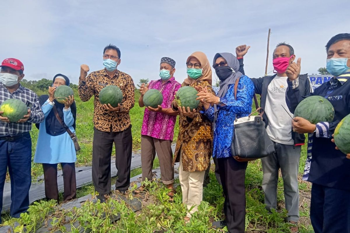 DKP Paser gelar pertanian keluarga tuntaskan rawan pangan