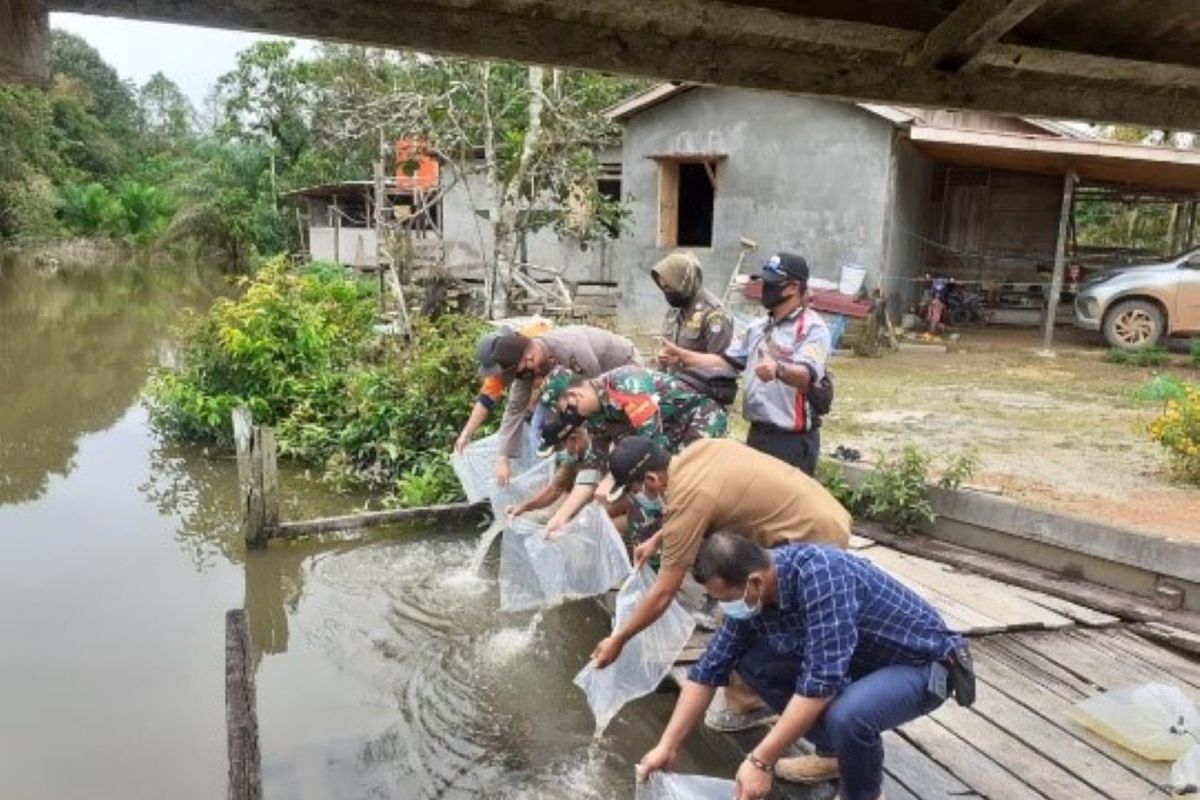 PT CITA bantu pelepasan 1.000 ikan lokal di Kabupaten Ketapang