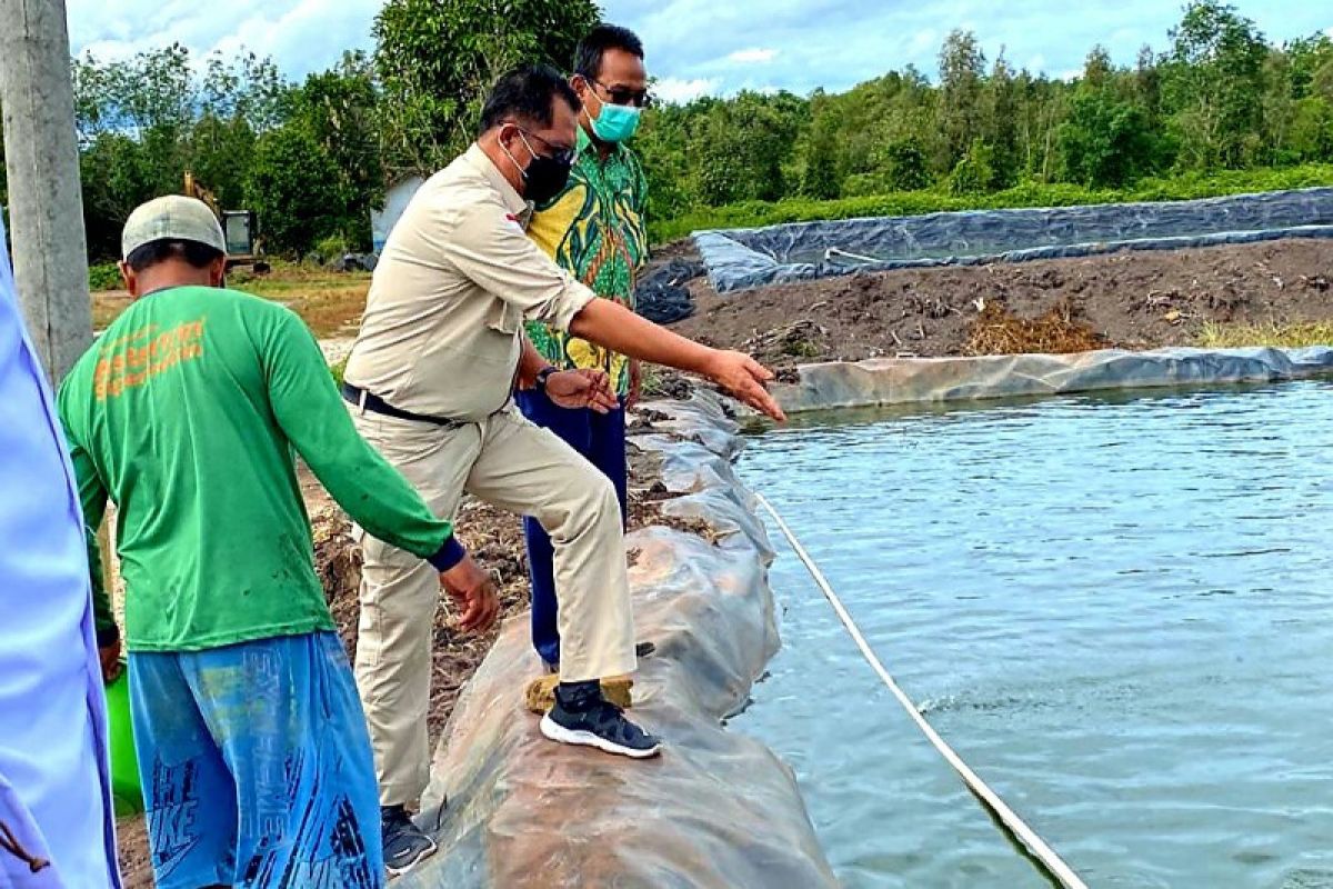 Pemprov Kalteng optimalkan budidaya perikanan di kawasan food estate