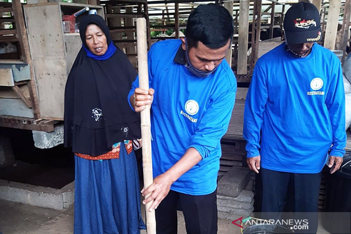 Polbangtan Yoma kembangan inovasi pengolahan limbah urine domba