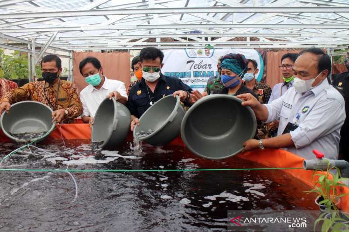 Mentan dorong pemda kembangkan "Integrated Farming System"