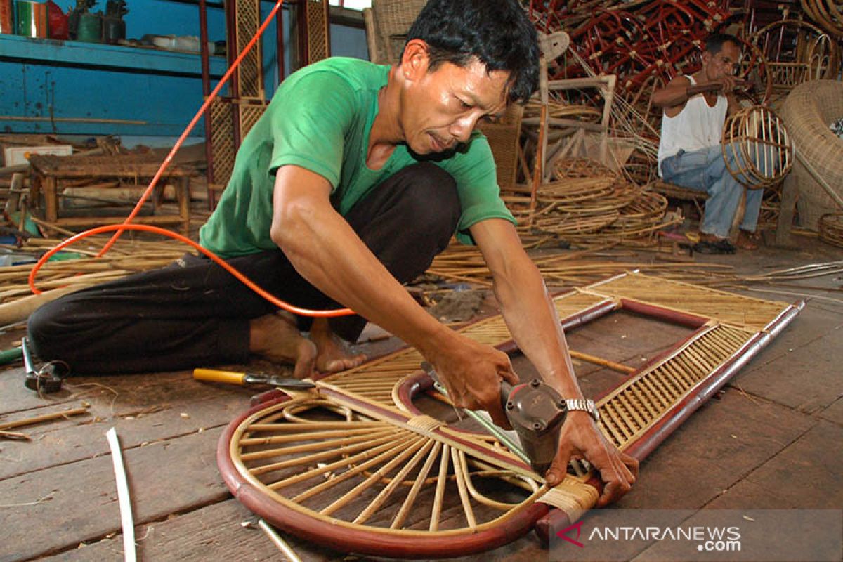 Kadin minta pemerintah perhatikan kelangsungan "hidup" petani rotan