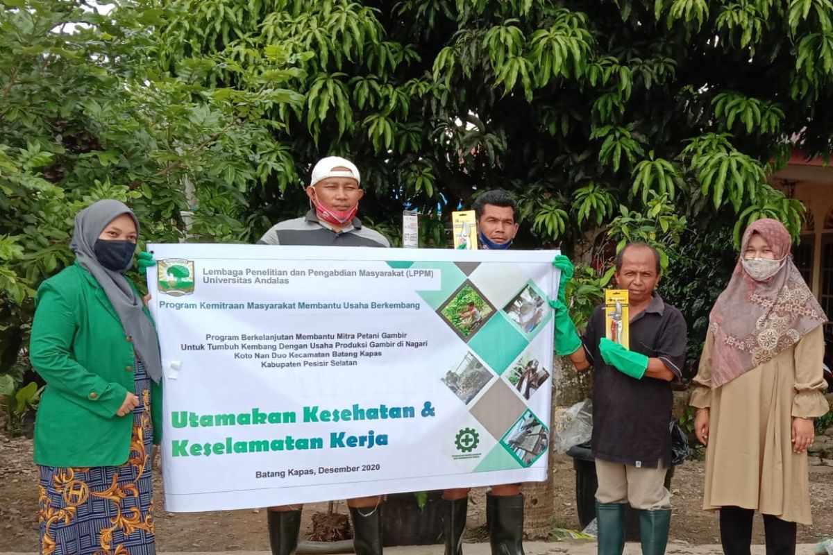 Unand bimbing petani gambir terapkan kesehatan dan keselamatan kerja