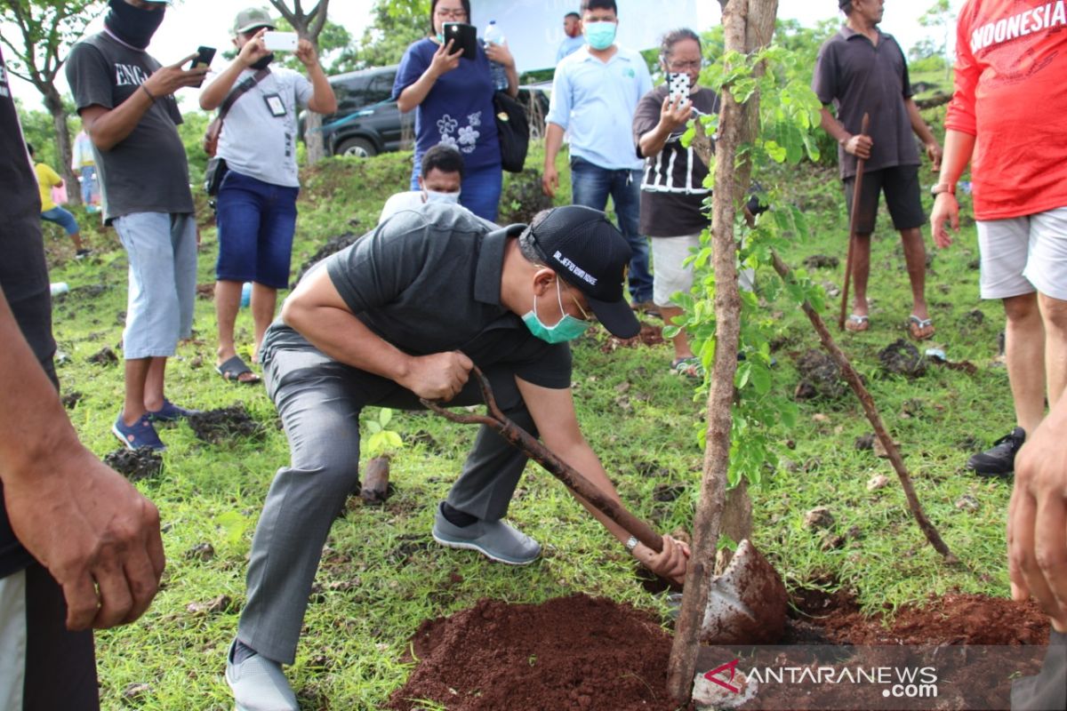 Kupang gandeng mahasiswa hijaukan kawasan kota