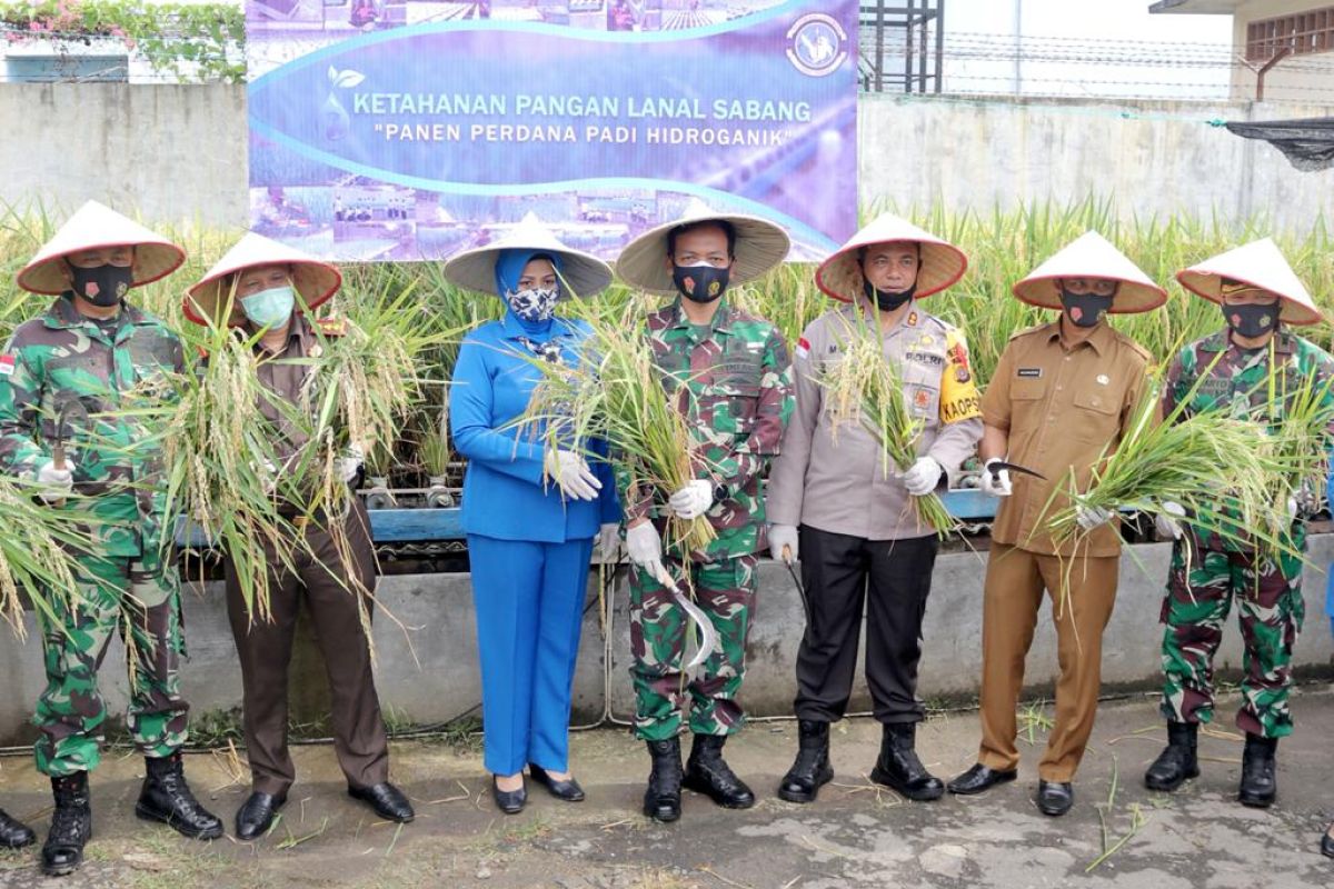 Wali Kota Sabang apresiasi inovasi padi hidroponik Lanal Sabang