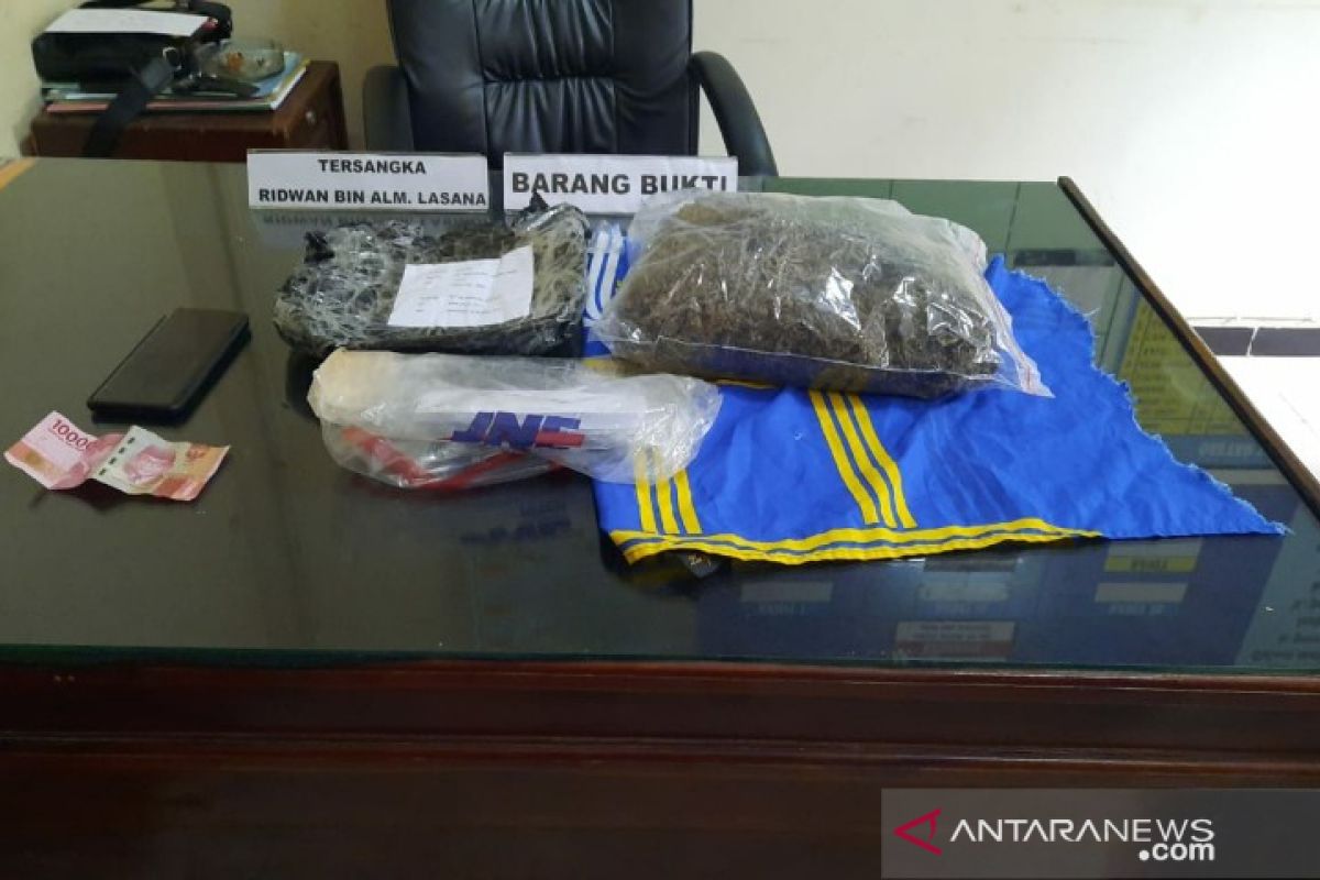 SE Sulawesi police arrest man with Medan-sourced 1.6-kg marijuana