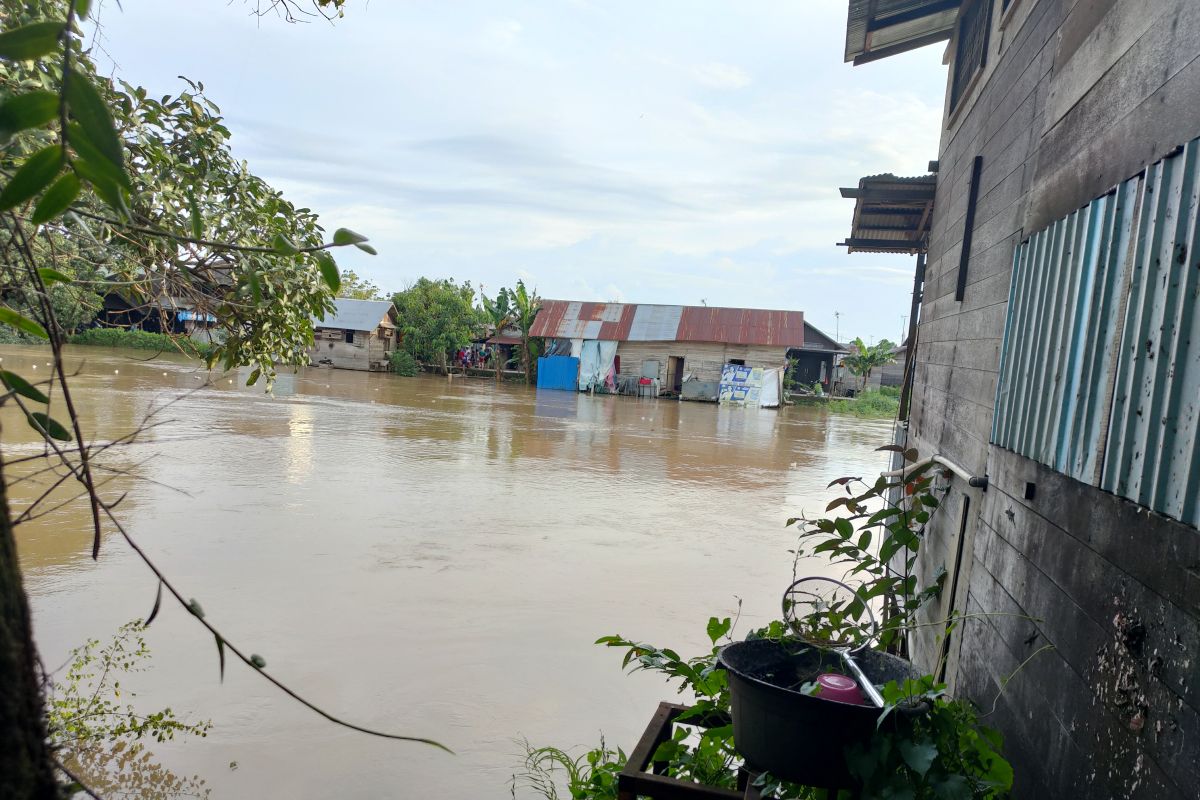 Riam kiwa meluap dikhawatirkan rendam benih padi petani Banjar