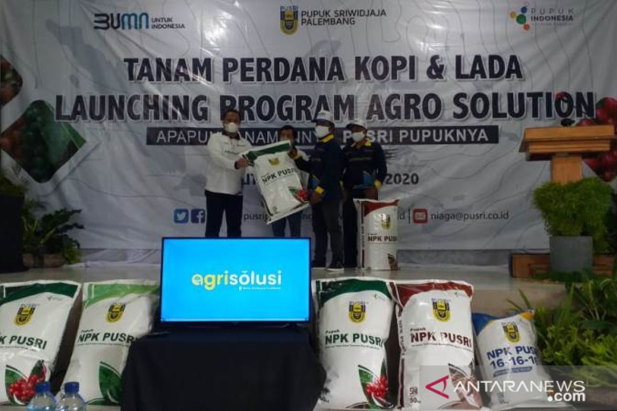 PT Pusri Palembang salurkan bantuan pupuk untuk petani kopi dan singkong