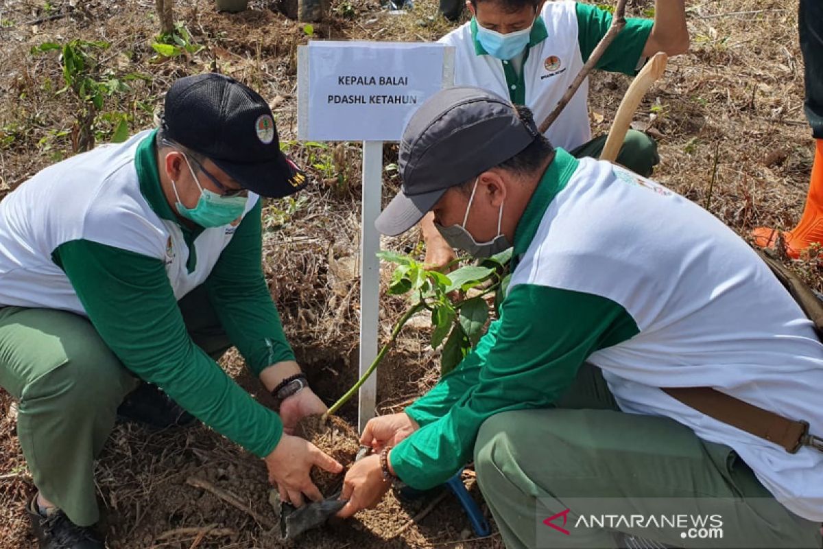 BPDASHL Bengkulu akan rehabilitasi DAS Bengkulu dan DAS Lemau