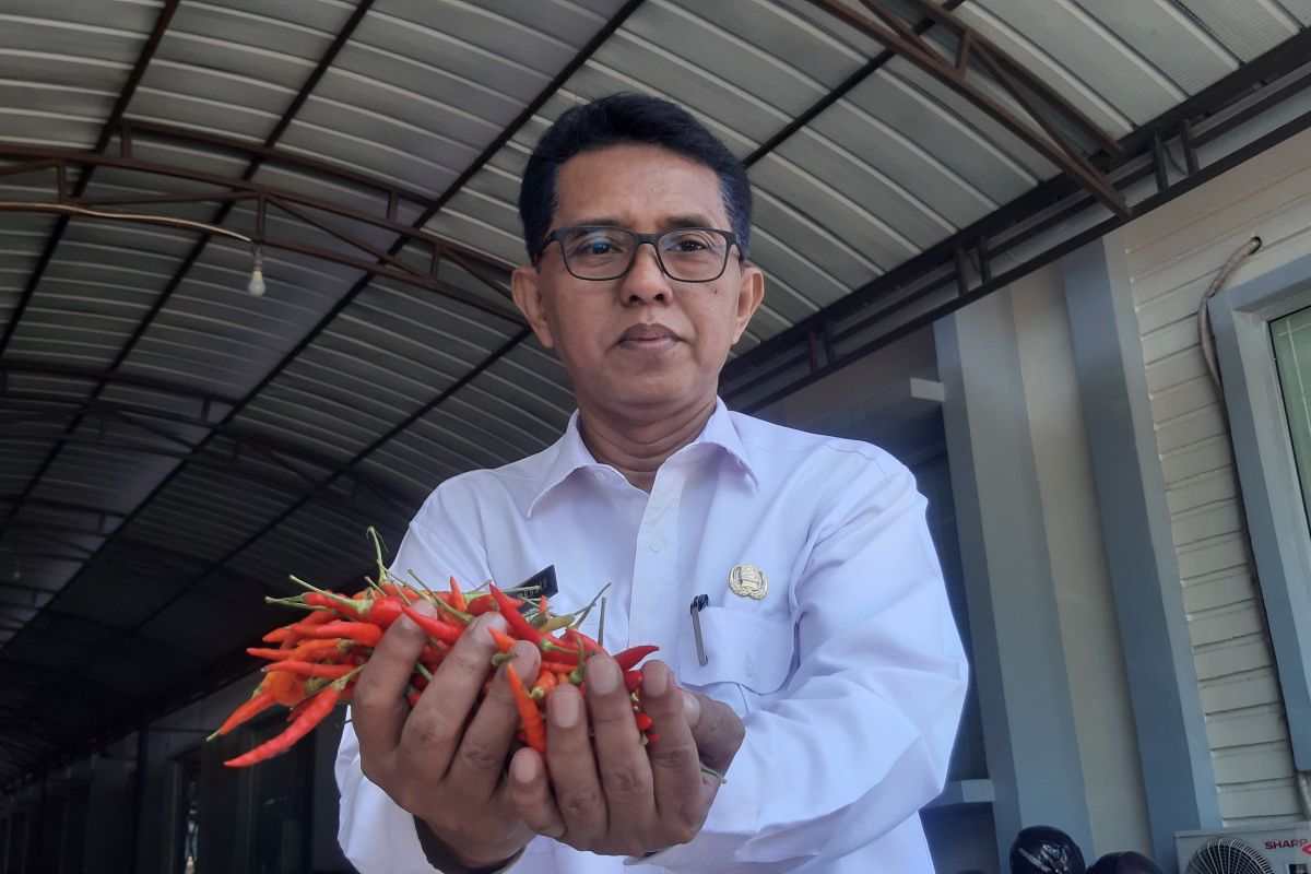 Pemrov Kalbar pastikan harga pangan strategis terkendali saat Natal 2020