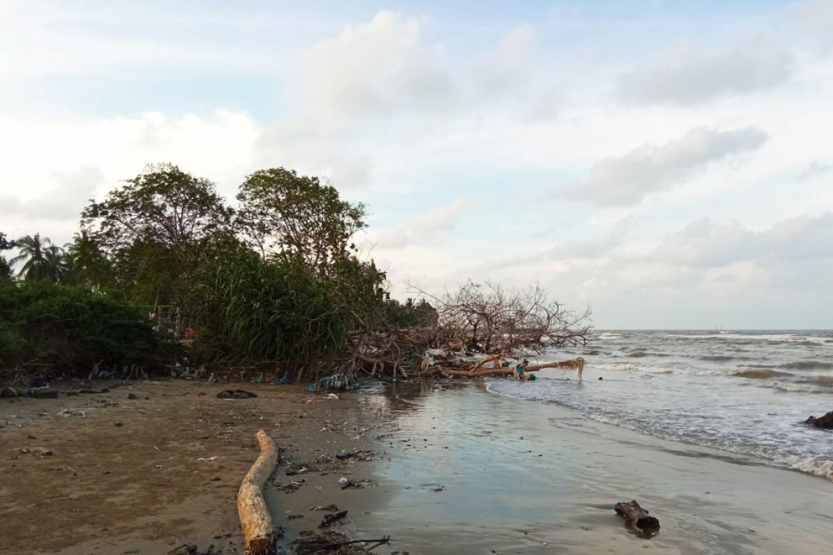 Pasca banjir, abrasi pantai Aceh Timur mengkhawatirkan