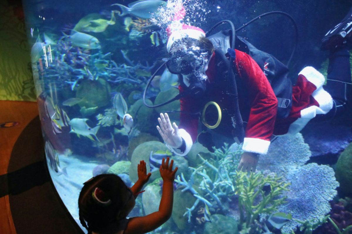 Kejutan, Sinterklas berkunjung dadakan sembari menyelam di akuarium Thailand