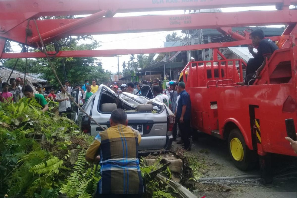 Angin kencang akibatkan pohon sawit tumbang lalu timpa mobil minibus dan rusak