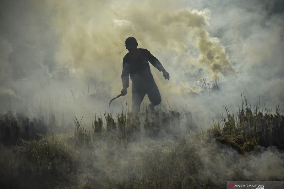 Plastik berbahan dasar jerami padi