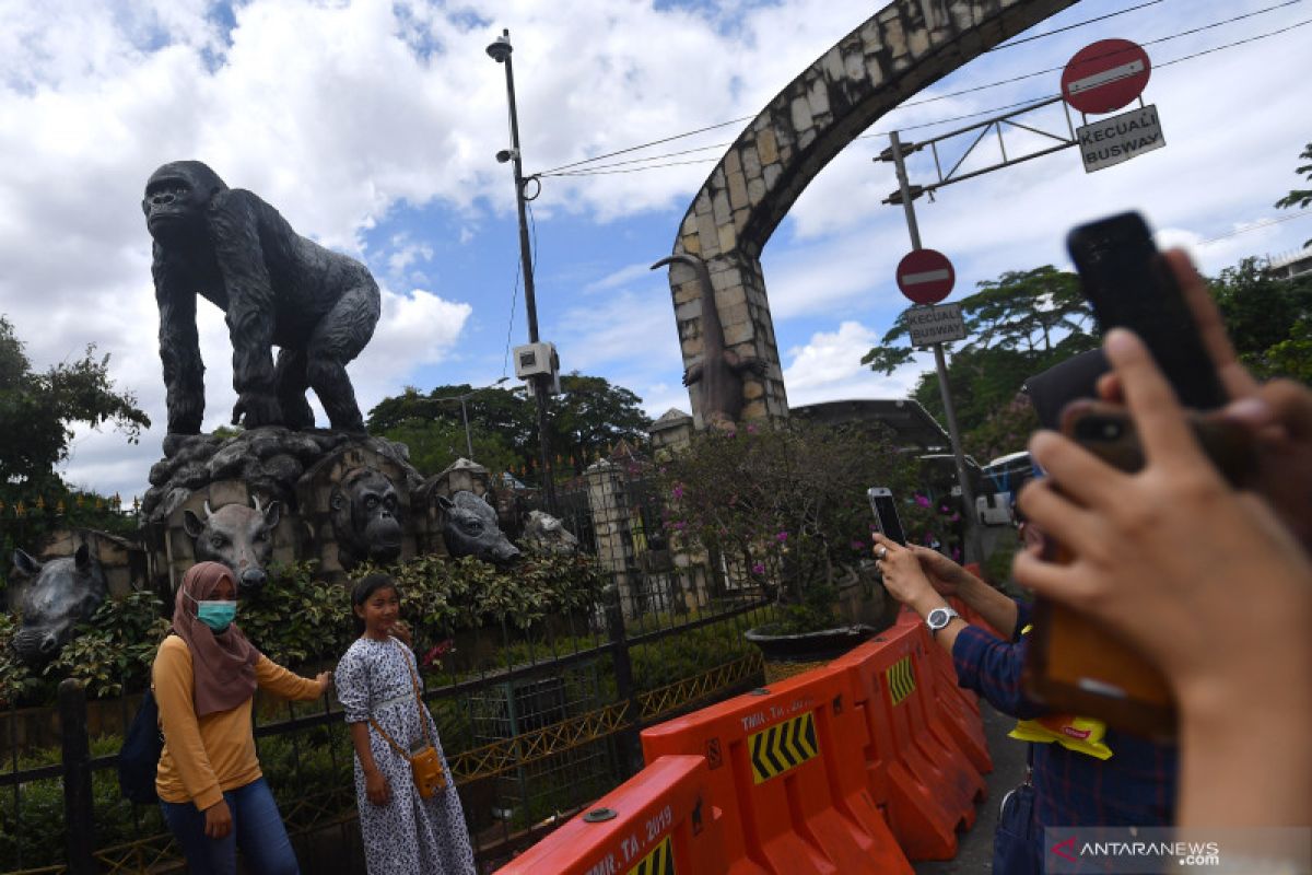 Taman Margasatwa Ragunan buka lagi dengan protokol kesehatan