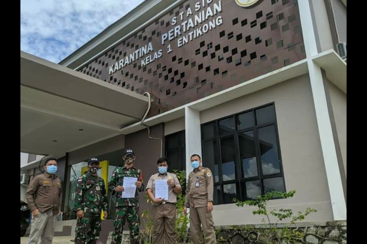 Satgas Pamtas amankan 50 ekor burung Kacer seludupan